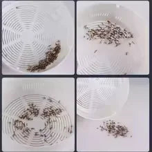 Mosquito Killer Lamp